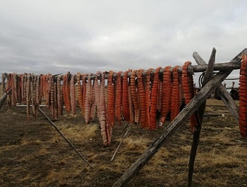 Семья Спиридоновых из п. Новорыбная.  